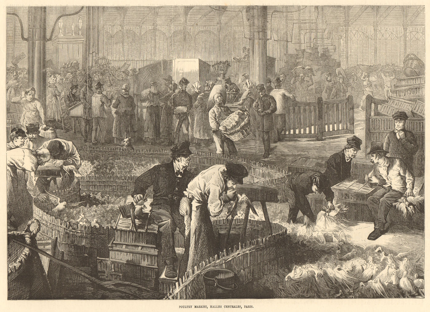 Poultry market, Halles Centrales, Paris 1874 old antique vintage print picture